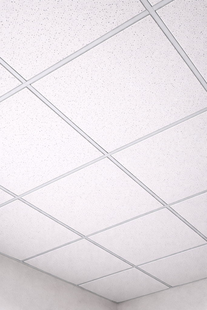 ChatGPT Image 16 февр. 2026 г., 13_30_24.png