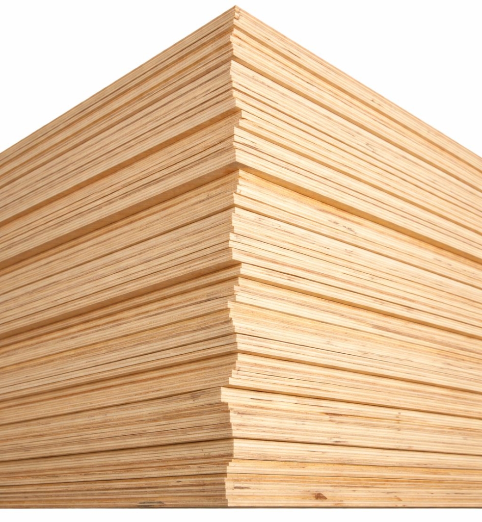 ChatGPT Image 16 февр. 2026 г., 12_56_27..jpg