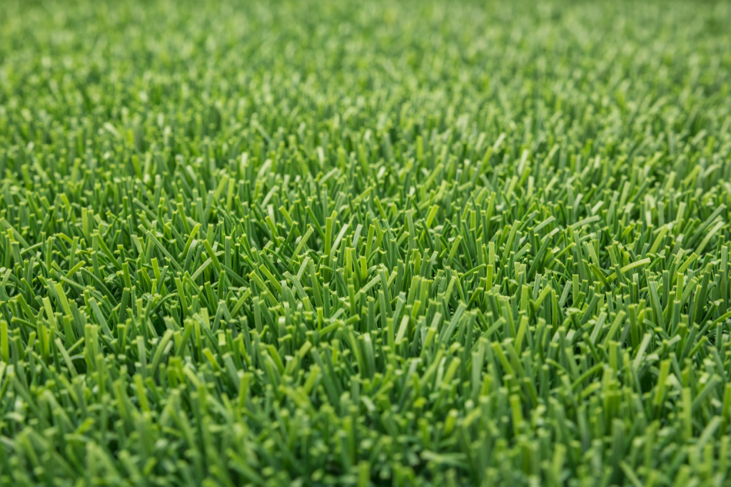 ChatGPT Image 29 дек. 2025 г., 15_50_06.png